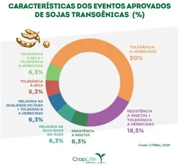 infográfico em formato de gráfico de rosca que detalha as características dos eventos aprovados de sojas transg