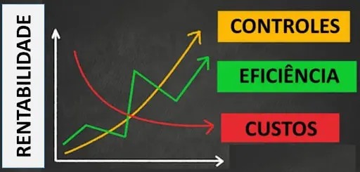 gráfico conceitual que ilustra a relação entre diferentes fatores de gestão e a rentabilidade de um neg