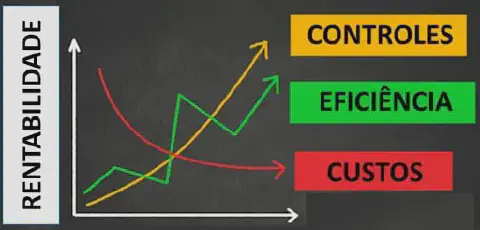 gráfico conceitual que ilustra a relação entre diferentes fatores de gestão e a rentabilidade de um neg