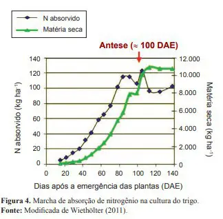 gráfico de linhas com dois eixos Y, intitulado ‘Marcha de absorção de nitrogênio na cultura do trigo’. O ei