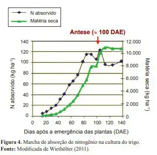 gráfico de linhas com dois eixos Y, intitulado 'Marcha de absorção de nitrogênio na cultura do trigo'. O ei