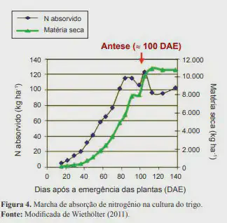 gráfico de linhas com dois eixos Y, intitulado 'Marcha de absorção de nitrogênio na cultura do trigo'. O ei