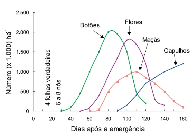 Este gráfico de linhas ilustra as fases fenológicas de uma cultura, provavelmente a do algodão, ao longo do tempo. O eixo hor