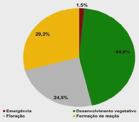 gráfico de pizza que ilustra a distribuição percentual das fases fenológicas de uma cultura agrícola, muito