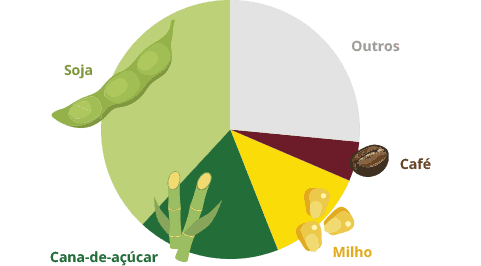 gráfico de pizza que ilustra a distribuição de diferentes culturas agrícolas. A maior fatia, em verde claro