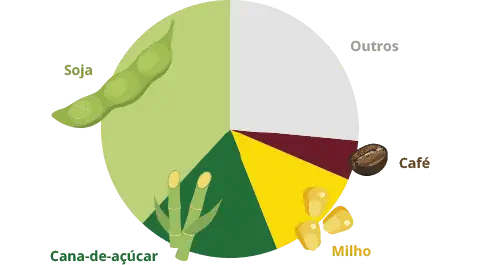 gráfico de pizza que ilustra a distribuição de diferentes culturas agrícolas. A maior fatia, em verde claro