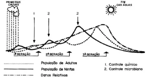 gráfico técnico que ilustra a dinâmica populacional de uma praga agrícola ao longo de três gerações, correl