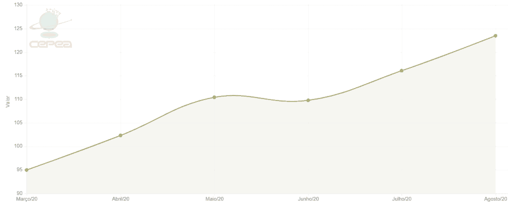 gráfico de área que ilustra a evolução de um indicador de valor ao longo de seis meses, de março a agosto d