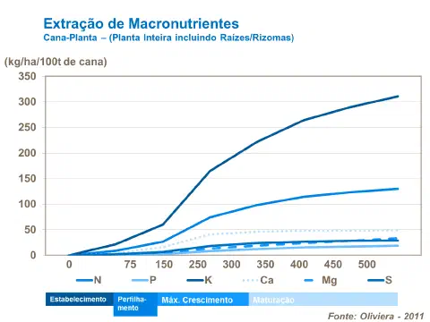 Este gráfico de linhas detalha a curva de extração acumulada de macronutrientes pela cana-planta, considerando a planta intei