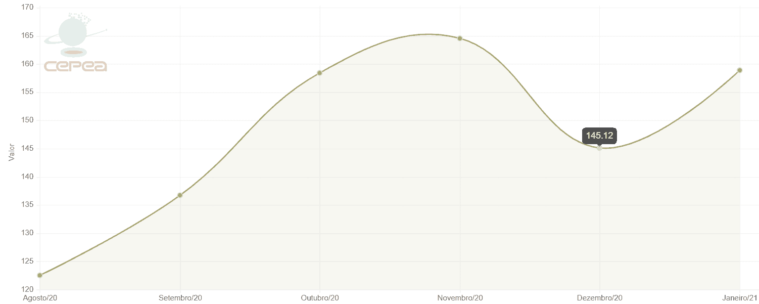 gráfico de área que ilustra a flutuação de valor de uma commodity agrícola ao longo de um período de seis m