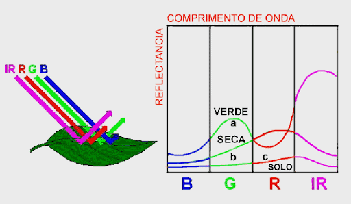 diagrama técnico que ilustra o princípio da reflectância espectral, fundamental para o sensoriamento remoto na