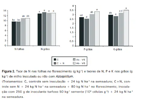 dois gráficos de barras que apresentam os resultados de um estudo sobre a nutrição da cultura do milho. A Figu