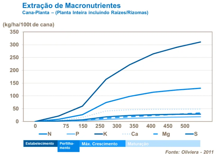 gráfico de linhas que ilustra a extração acumulada de macronutrientes (Nitrogênio-N, Fósforo-P, Potássi