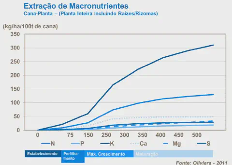 gráfico de linhas que ilustra a extração acumulada de macronutrientes (Nitrogênio-N, Fósforo-P, Potássi