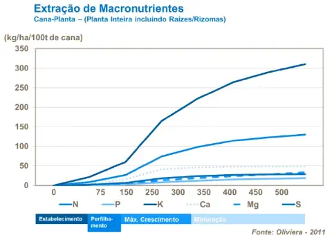 gráfico de linhas que ilustra a extração acumulada de macronutrientes (Nitrogênio-N, Fósforo-P, Potássi