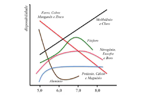 Gráfico da disponibilidade dos nutrientes em função do pH do solo