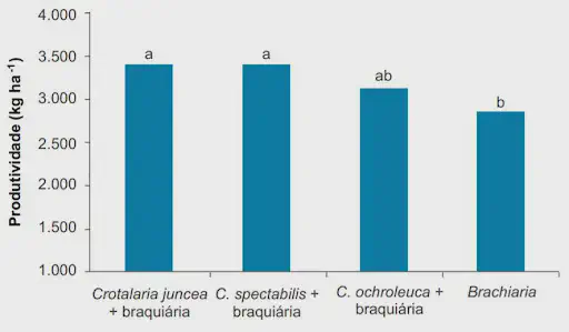 Gráfico: Produtividade do Consórcio Crotalária e Braquiária gráfico de barras que compara a produtividade, medida em quilogramas por hectare (kg ha⁻¹), de quatro siste
