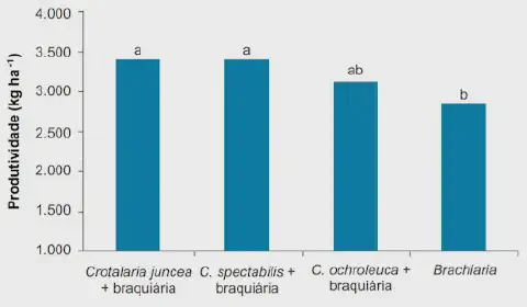 gráfico de barras que compara a produtividade, medida em quilogramas por hectare (kg ha⁻¹), de quatro siste