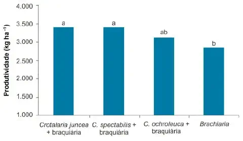 gráfico de barras que compara a produtividade, medida em quilogramas por hectare (kg ha⁻¹), de quatro siste