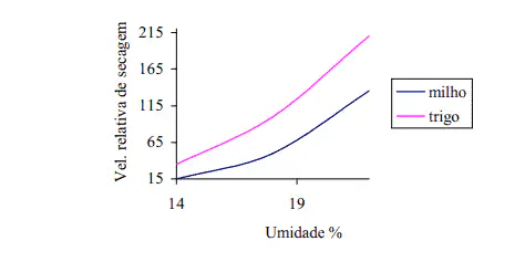 gráfico de linhas que compara a velocidade relativa de secagem entre milho e trigo em função do teor de umi
