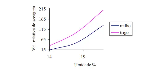 gráfico de linhas que compara a velocidade relativa de secagem entre milho e trigo em função do teor de umi