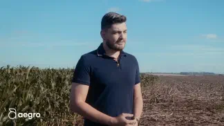 Miniatura do artigo de Historias de Sucesso: Grupo Cremonesi: Menos Papelada, Mais Lucro com Aegro (Uma História de Sucesso)