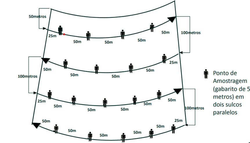 diagrama técnico que ilustra um método de amostragem sistemática em uma área agrícola, possivelmente um