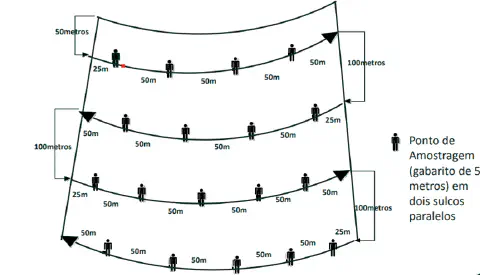 diagrama técnico que ilustra um método de amostragem sistemática em uma área agrícola, possivelmente um