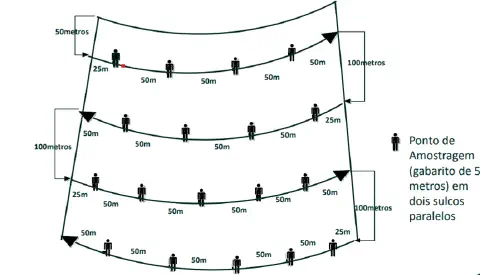 diagrama técnico que ilustra um método de amostragem sistemática em uma área agrícola, possivelmente um