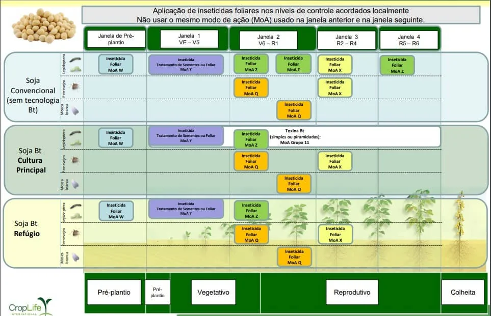 infográfico técnico detalhado que apresenta um plano estratégico para a aplicação de inseticidas foliares na cu