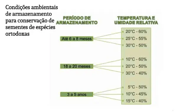 Este infográfico detalha as condições ambientais ideais para a conservação de sementes de espécies ortodoxas, que são aquelas