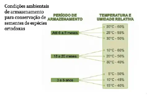 Este infográfico detalha as condições ambientais ideais para a conservação de sementes de espécies ortodoxas, que são aquelas