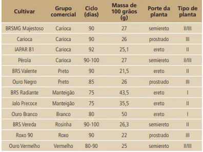 uma tabela comparativa detalhada de diferentes cultivares de feijão. Organizada em colunas, a tabela apresenta