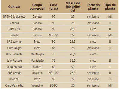 uma tabela comparativa detalhada de diferentes cultivares de feijão. Organizada em colunas, a tabela apresenta