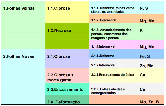 Guia de Deficiência Nutricional em Plantas: Sintomas chave de diagnóstico visual para a identificação de deficiências nutricionais em plantas, organizada e