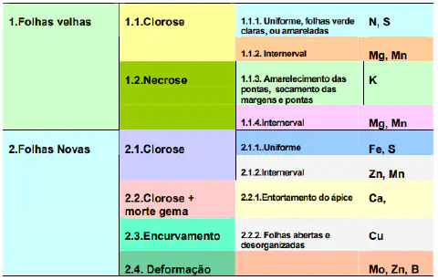 chave de diagnóstico visual para a identificação de deficiências nutricionais em plantas, organizada e