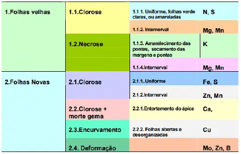 chave de diagnóstico visual para a identificação de deficiências nutricionais em plantas, organizada e