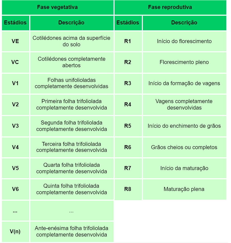 tabela didática que detalha os estádios fenológicos de uma cultura agrícola, muito provavelmente a soj