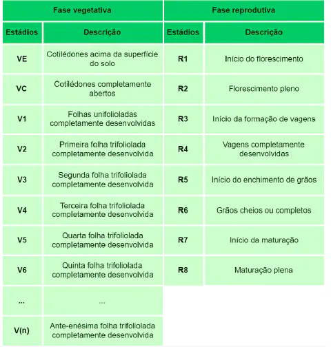 tabela didática que detalha os estádios fenológicos de uma cultura agrícola, muito provavelmente a soj