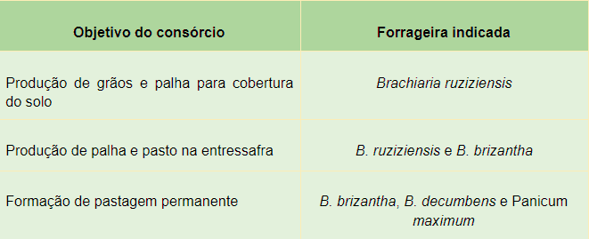 Guia de Forrageiras para Consórcio: Qual Espécie Escolher? uma tabela informativa que orienta a escolha de plantas forrageiras com base no objetivo de um consórcio agríc