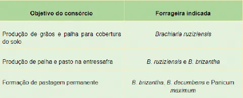 uma tabela informativa que orienta a escolha de plantas forrageiras com base no objetivo de um consórcio agríc
