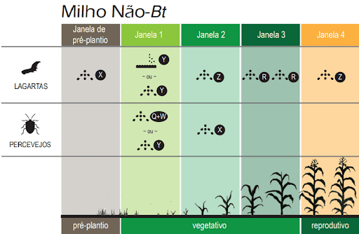 Guia de Manejo de Pragas para Milho Não-Bt Este infográfico técnico detalha o calendário de manejo de pragas para a cultura do milho não-Bt. A imagem é estruturada como