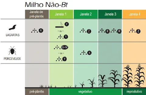 Este infográfico técnico detalha o calendário de manejo de pragas para a cultura do milho não-Bt. A imagem é estruturada como