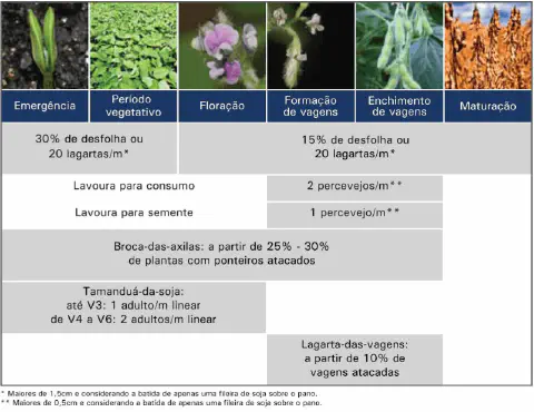 infográfico técnico detalhado sobre o manejo de pragas na cultura da soja, correlacionando os estágios fenológico
