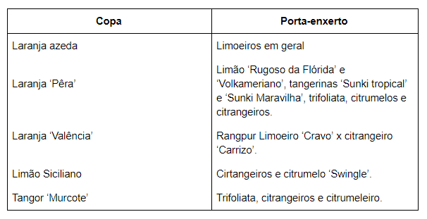 porta-enxertos na citricultura