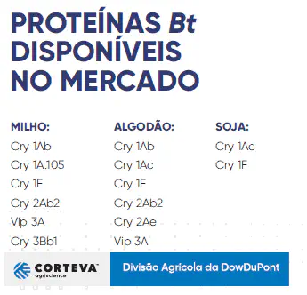 Guia de Proteínas Bt para Milho, Soja e Algodão infográfico informativo que lista as diferentes proteínas Bt (Bacillus thuringiensis) disponíveis comercialment