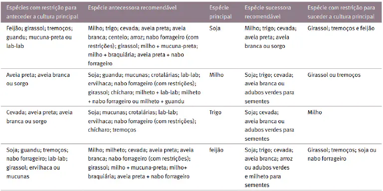 Guia de Rotação de Culturas: Soja, Milho, Trigo e Feijão uma tabela técnica detalhada sobre rotação e sucessão de culturas agrícolas, focada em quatro espécies princip