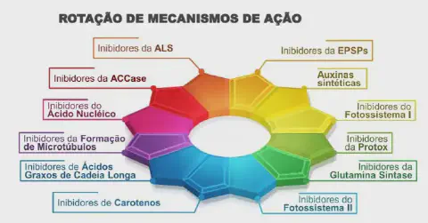 infográfico educativo intitulado 'Rotação de Mecanismos de Ação'. Ela exibe um diagrama circular, semelhante a