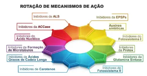 infográfico educativo intitulado 'Rotação de Mecanismos de Ação'. Ela exibe um diagrama circular, semelhante a