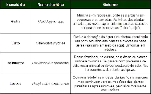 uma tabela informativa e técnica, projetada para auxiliar na identificação de diferentes tipos de nematoides c